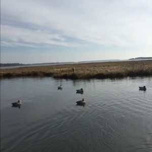 Meet your Posher, Julius